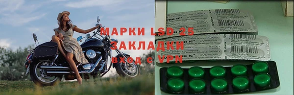 ECSTASY Алзамай