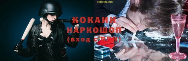 ECSTASY Алзамай
