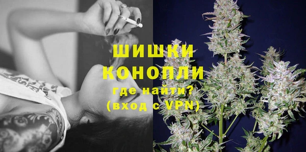 гидра Алексеевка