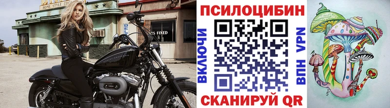 Псилоцибиновые грибы мухоморы  купить  сайты  kraken вход  Куртамыш 